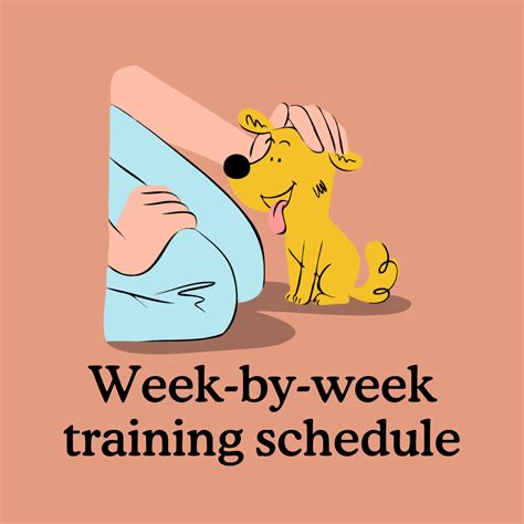 Week-by-week Puppy Training Schedule for 8-16 Weeks Old — Zigzag Puppy Training App