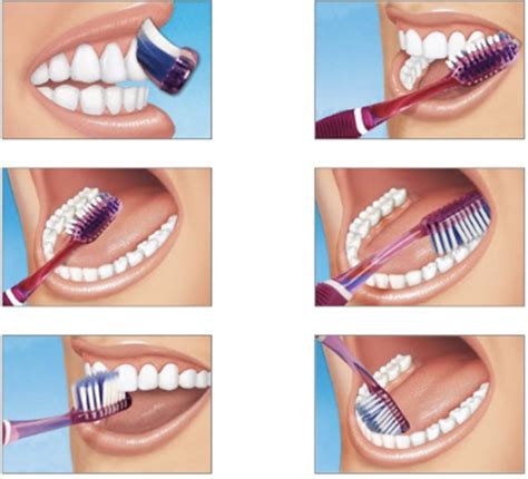 Tooth Brushing Techniques | News | Dentagama