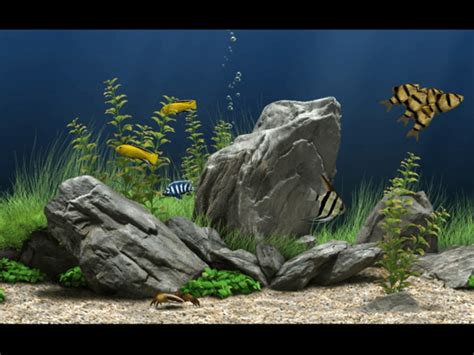 Dream aquarium wallpaper - sanyvital