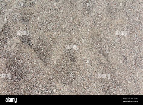 Coarse sand background texture. Close up of coarse sand grains Stock ...