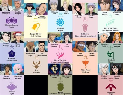 Bleach's Gotei 13: flower power | Anime Amino | Bleach anime, Bleach ...