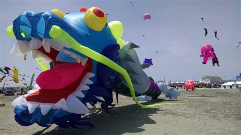 Giant Kites Will Be Flying Above A Local Beach This Saturday – Lavallette-Seaside Shorebeat