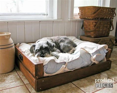 16 DIY Dog Bed Designs: Custom-Build a Bed for Your Pooch!