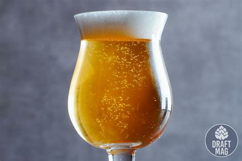 Blonde Ale Recipe: Expert Tips on How to Brew the Best Summer Beer