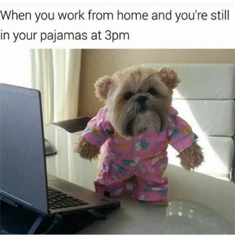 COVID-19: Work From Home Memes That Will Crack You Up - News18