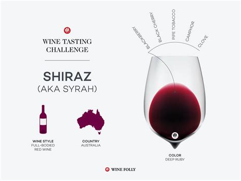 Tasting Challenge: Australian Shiraz | Wine Folly