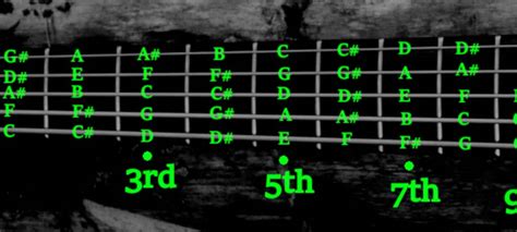 5-String Bass Notes Chart (With Fretboard Photos) - BassOx