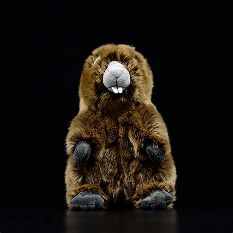 Realistic Groundhog Stuffed Animal Plush Toys – KEAIart