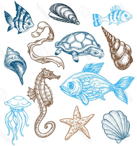 Sea Animal Drawing at GetDrawings | Free download