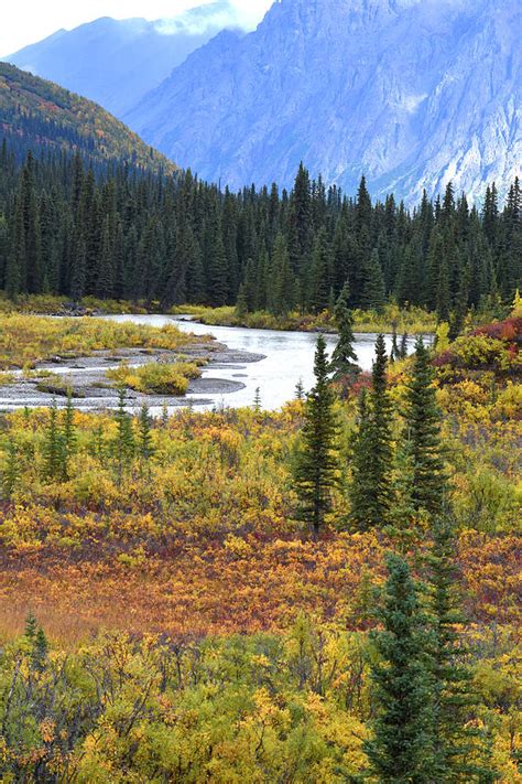 USA, Alaska, Denali Highway Scenery Photograph by Savanah Stewart - Fine Art America