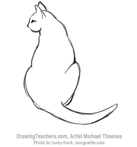 How to Draw a Cat Sitting