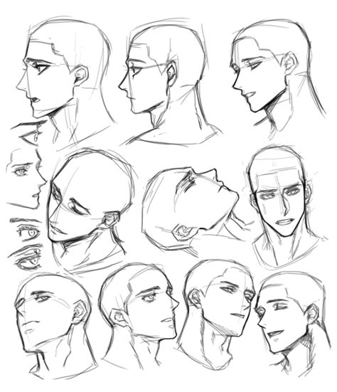 male face anatomy drawing - Come A Long Weblogs Photo Galery