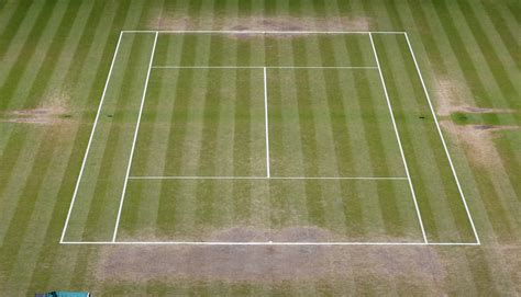 Photos show how much Wimbledon's grass changes over two weeks - Business Insider