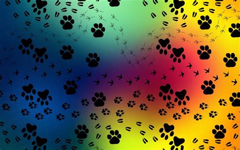 Cat Paw Print Wallpapers - Top Free Cat Paw Print Backgrounds - WallpaperAccess