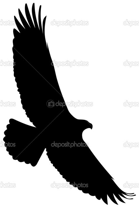 Eagle flight silhouette — Stock Vector © Yyordanov #43777501