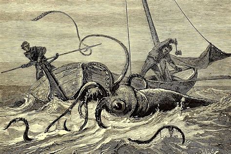 Giant Squid, Giant Secrets - JSTOR Daily