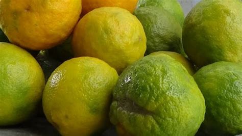 Medicinal benefits of Citron Fruit