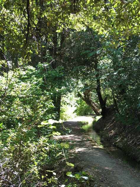 Whiskeytown Lake area hiking trail, Whiskeytown–Shasta–Trinity National Recreation Area, near ...