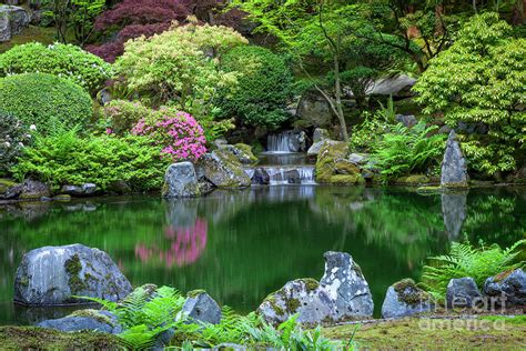 Pond and Waterfall in Japanese Garden Photograph by Brian Jannsen - Pixels