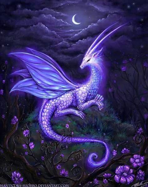 Beautiful | Dragon pictures, Mythical creatures art, Mythical dragons