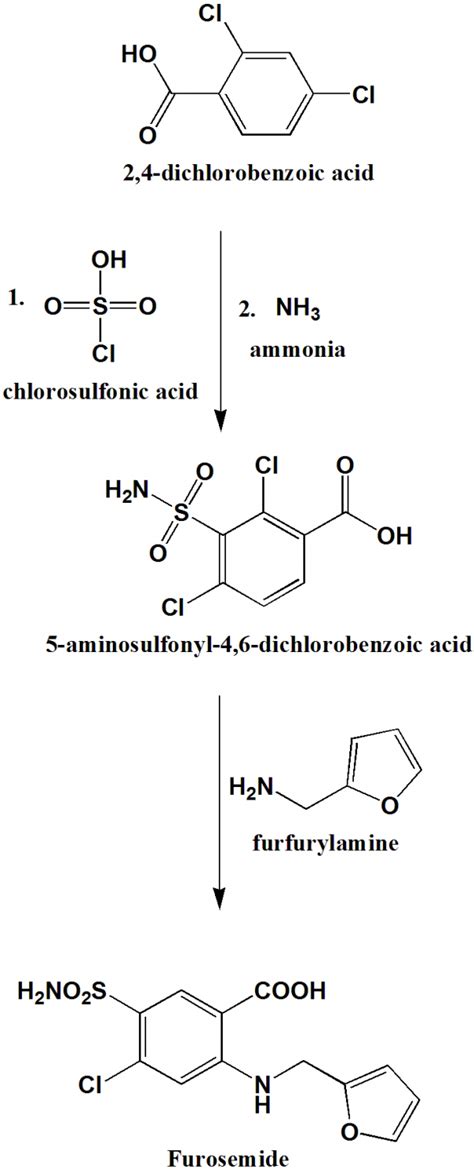 FUROSEMIDE Synthesis, SAR, MCQ,Structure,Chemical Properties and Therapeutic Uses - Gpatindia ...