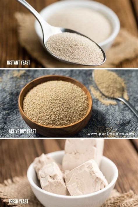 Yeast vs Sourdough Starter - What's The Difference? - The Pantry Mama