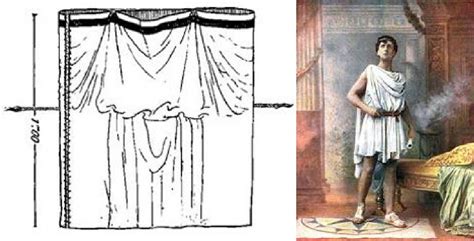 Chiton Diagram - Wiring Diagram Pictures