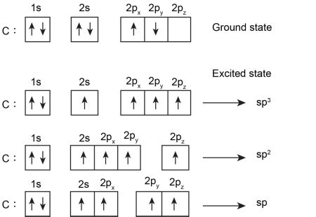 What is the geometry of: (a) an sp3 hybridized carbon atom? (b) an sp2 hybridized carbon atom ...