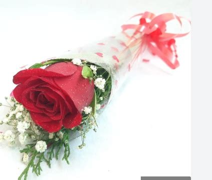 Single Rose with gypse - GetFlowersDaily