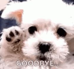 Sad Goodbye Moss Roy The It Crowd Sitcom GIF | GIFDB.com