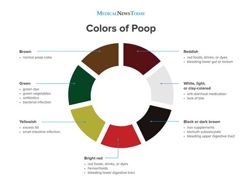 poop stool color changes color chart and meaning healthy concept stock - abnormal stool color ...