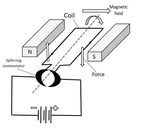 Draw A Labelled Diagram Of Dc Motor | Images and Photos finder