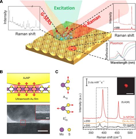 2D materials integrated with metallic nanostructures: fundamentals and optoelectronic applications