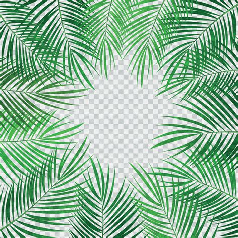 Palm Leaf Vector Background Illustration 4555217 Vector Art at Vecteezy