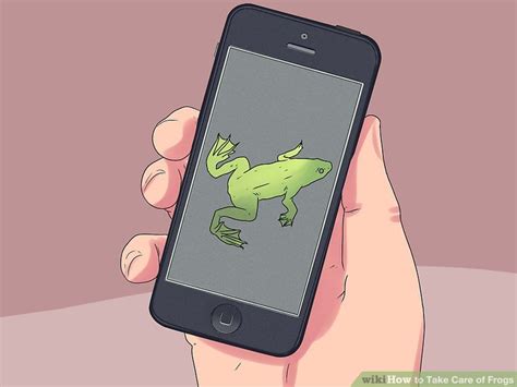 How to Take Care of Frogs: 15 Steps (with Pictures) - wikiHow