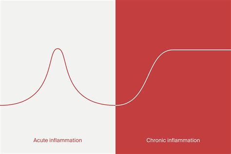 Inflammation & Mitochondrial Health | Mitopure