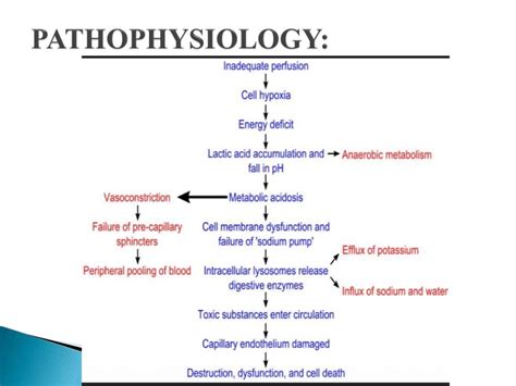 Neurogenic shock