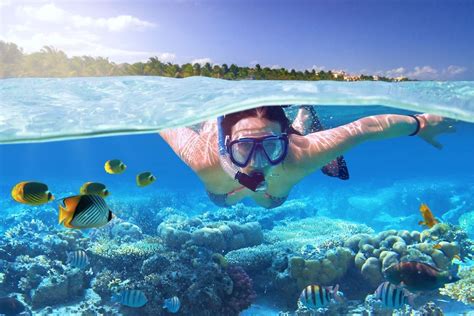 23 Best Snorkeling Spots on the Big Island, Hawaii (with Map) - TourScanner