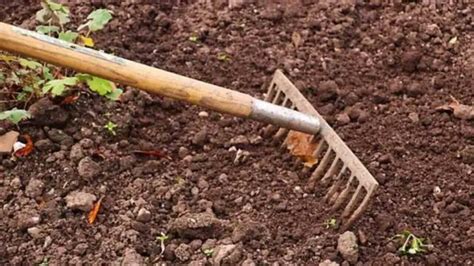 How to Make Loamy Soil: Tips For Gardening