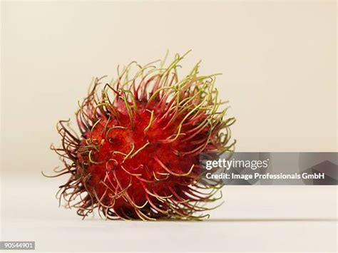 159 Rambutan Lychee Stock Photos, High-Res Pictures, and Images - Getty Images