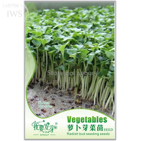 US$ 0.73 - Radish Bud Seeding Vegetable Seeds, Original Pack, 150 seeds ...