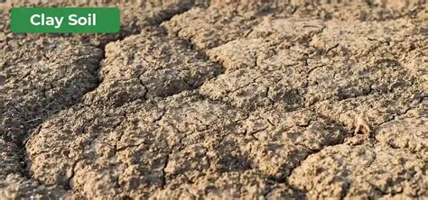 Types of Soil : Sandy Soil, Clay Soil, Slit Soil and Loamy Soil - GeeksforGeeks