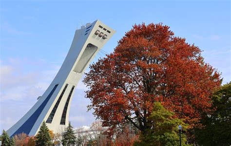 Montreal Olympic Stadium and Tower Editorial Stock Photo - Image of ...