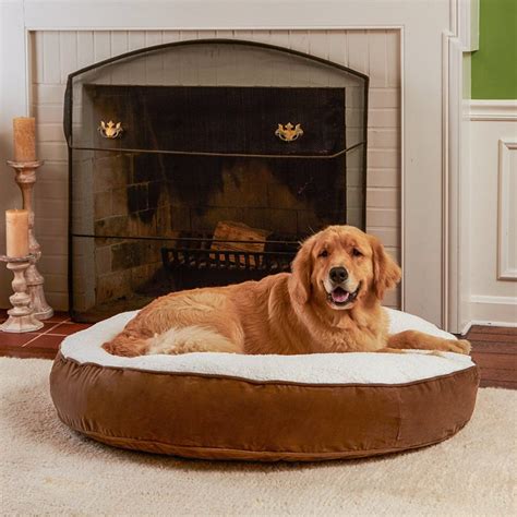 The 30 Best Large Dog Beds For Your Large Breed Dogs