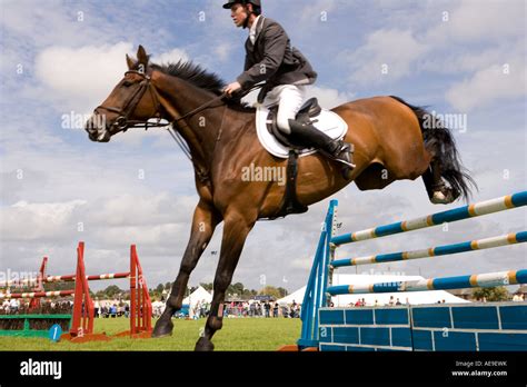 Equestrian sport horse riders show jumping competition horse jumping over jumps at Dumfries ...