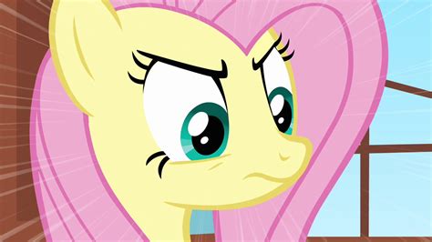 Image - Fluttershy stare S2E19.png - My Little Pony Friendship is Magic Wiki