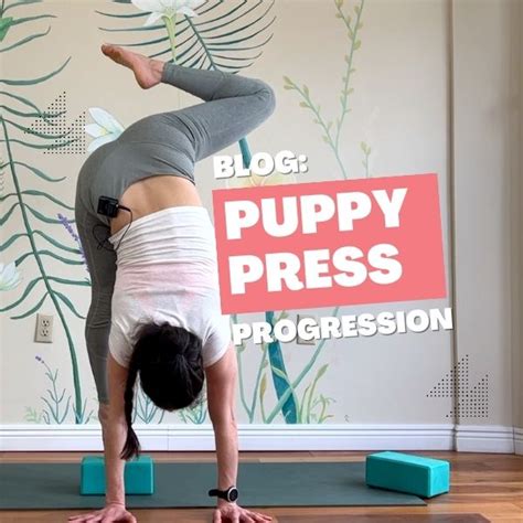 Blog: Puppy Press Handstand Progression – 5 Steps – Leigha Butler Yoga