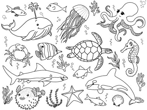 Marine Animals Drawing Images