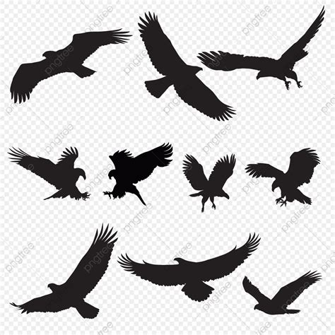 Bald Eagle Flying Silhouette PNG Free, Eagle Silhouette Flying Bird Silhouette, Bird, Silhouette ...