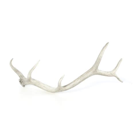 Elk Antler Decor & Reviews | Joss & Main